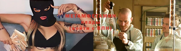 индика Пестово