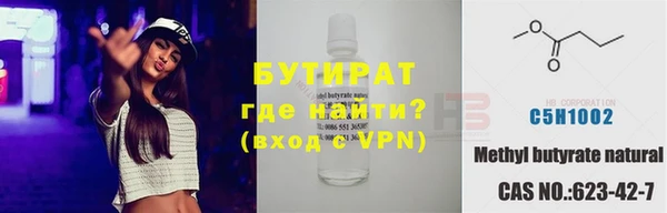 индика Пестово