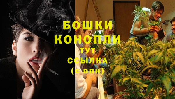 spice Пересвет