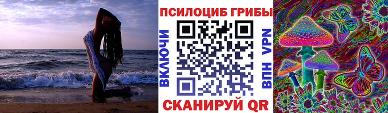 МЕГА зеркало  Сковородино  Псилоцибиновые грибы ЛСД 